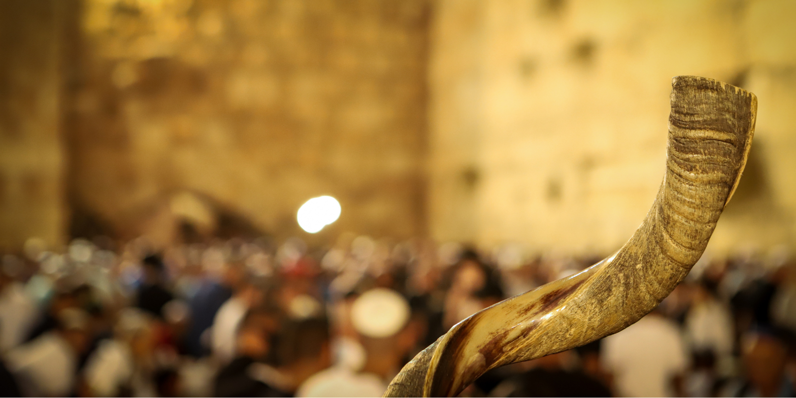 A shofar at the Western Wall (Shutterstock)