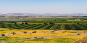 The Jezreel Valley in northern Israel (Shutterstock.com)