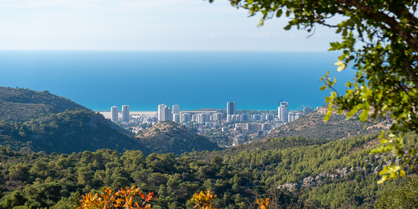 View of Tirat Carmel in northern Israel (Shutterstock.com)