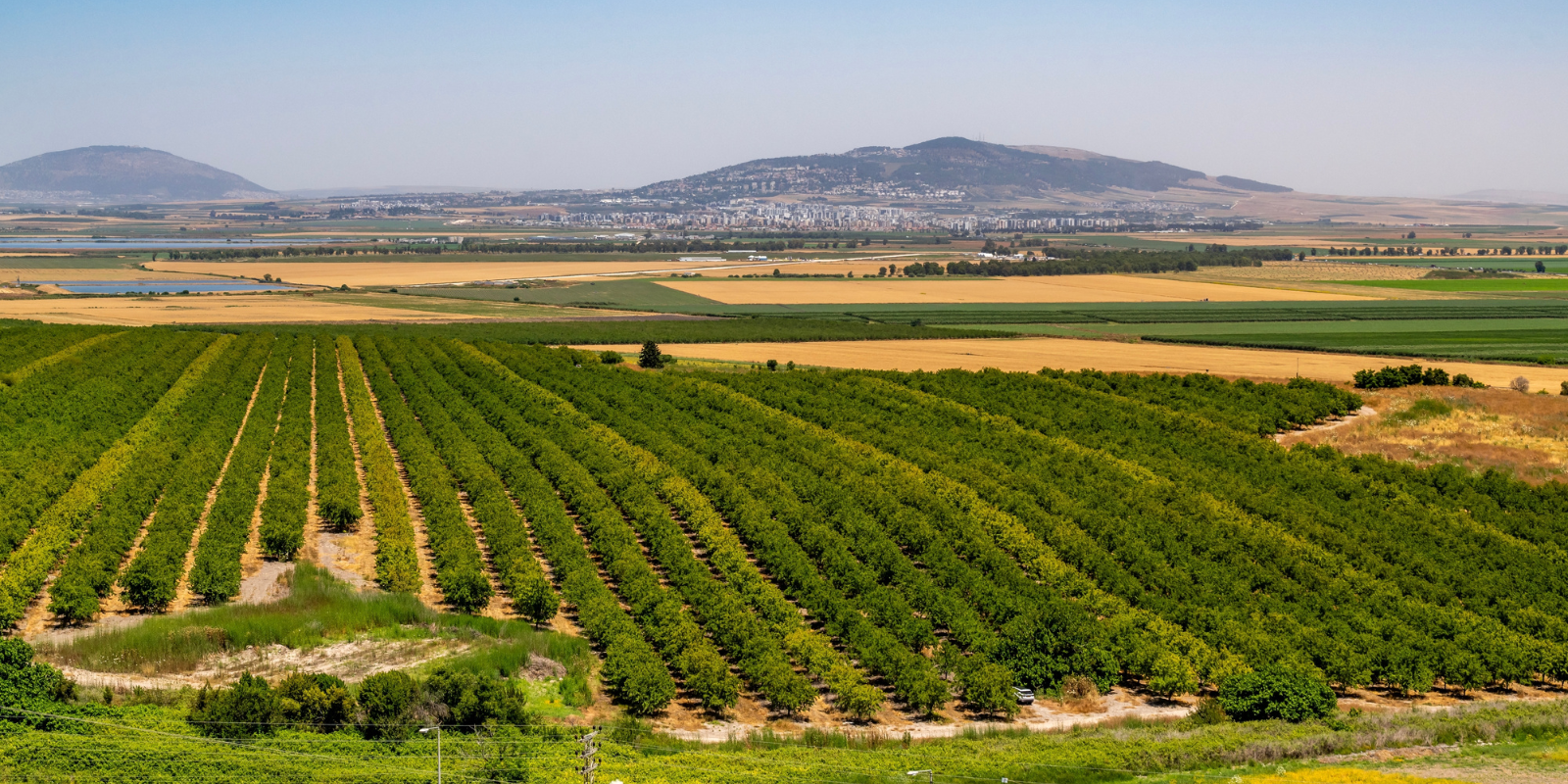 The Jezreel Valley (Shutterstock.com)