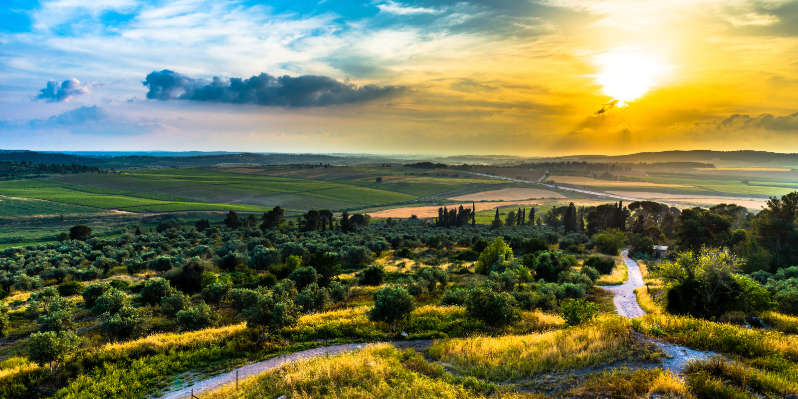Sunset over the Ayalon Valley (Shutterstock.com)