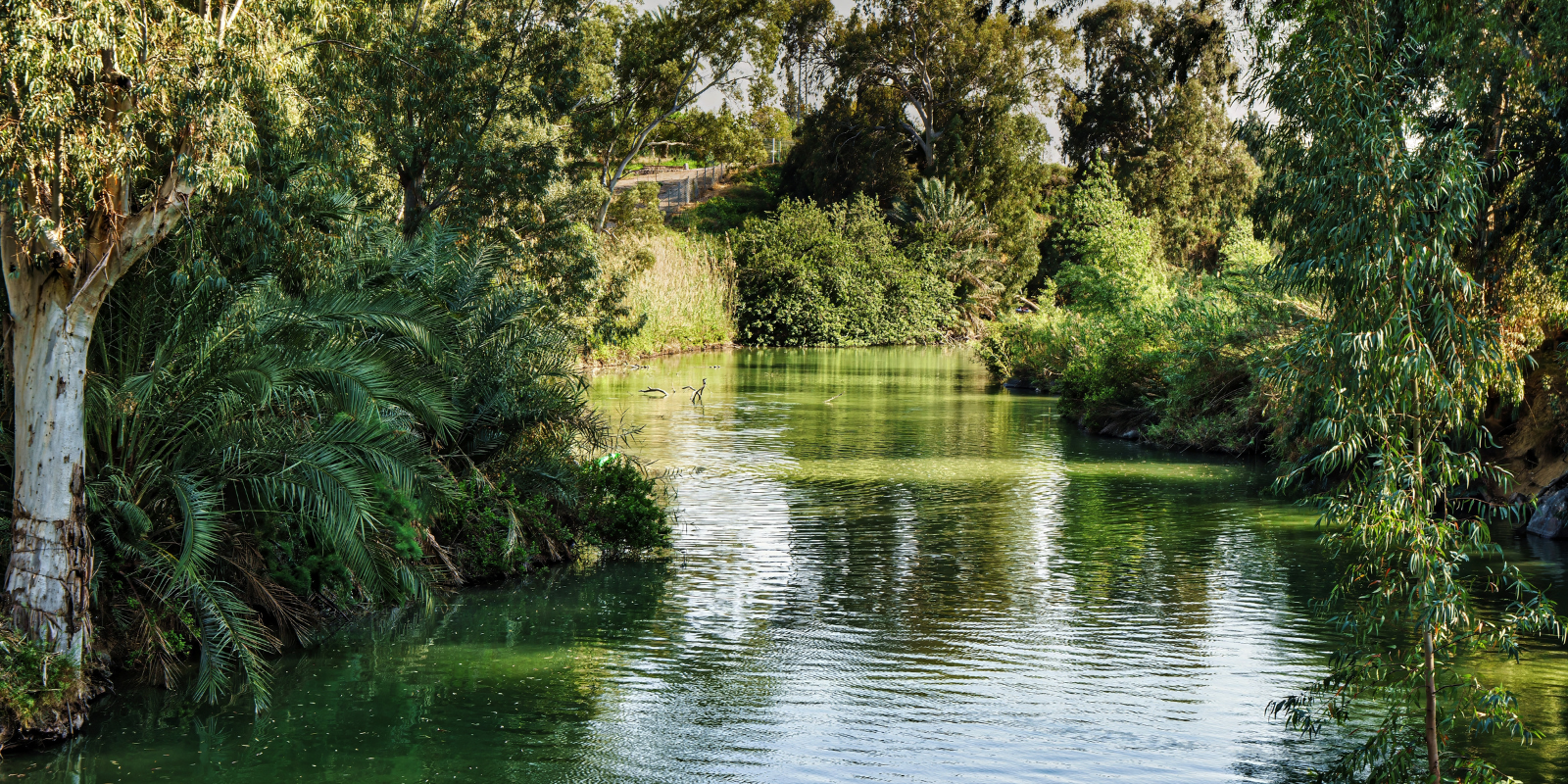The banks of the Jordan River (Shutterstock.com)