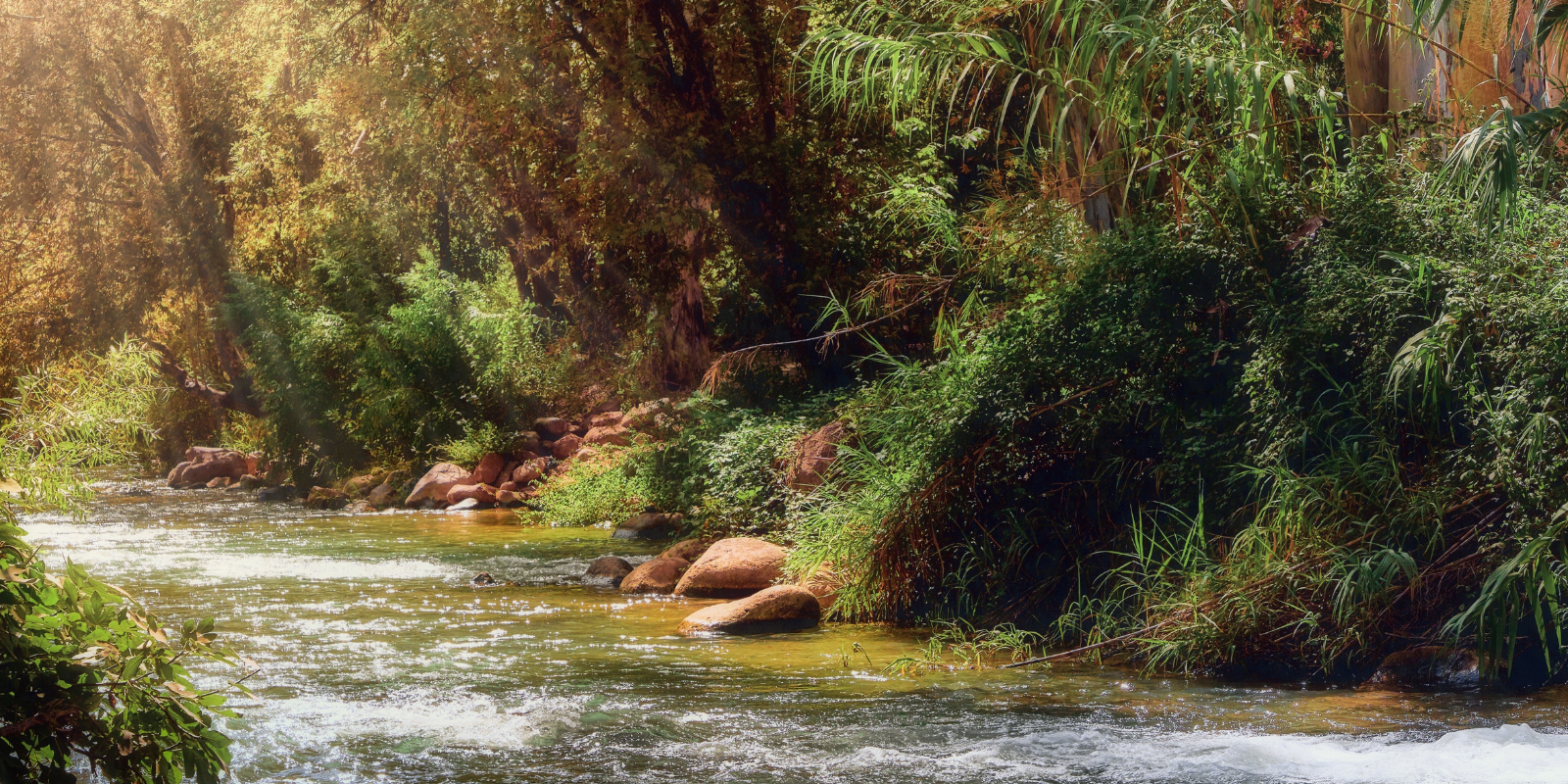The Jordan River (Shutterstock.com)