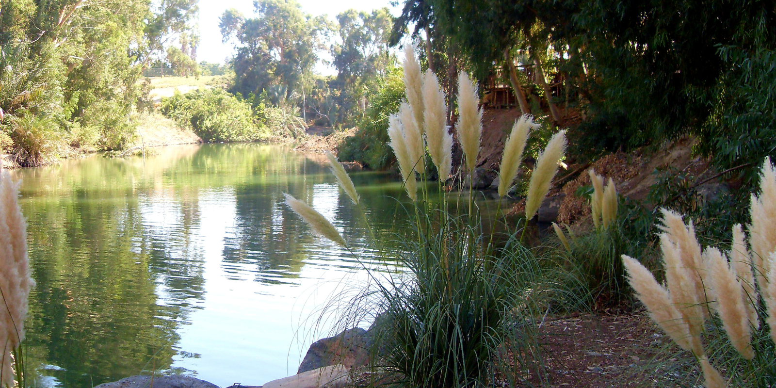 The Jordan River (Shutterstock.com)