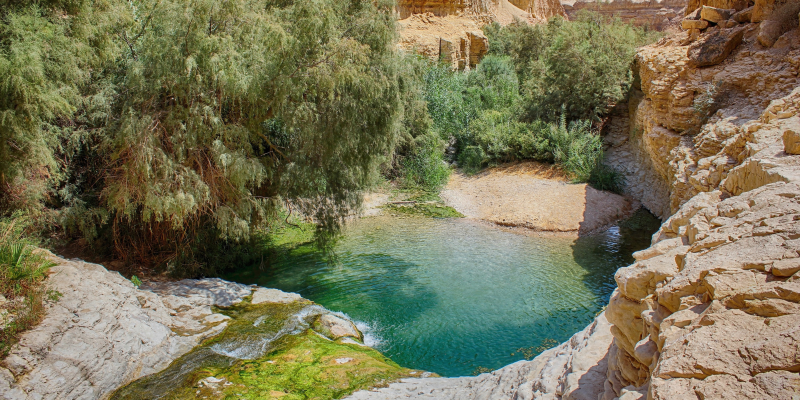 Ein Gedi nature reserve (Shutterstock.com)