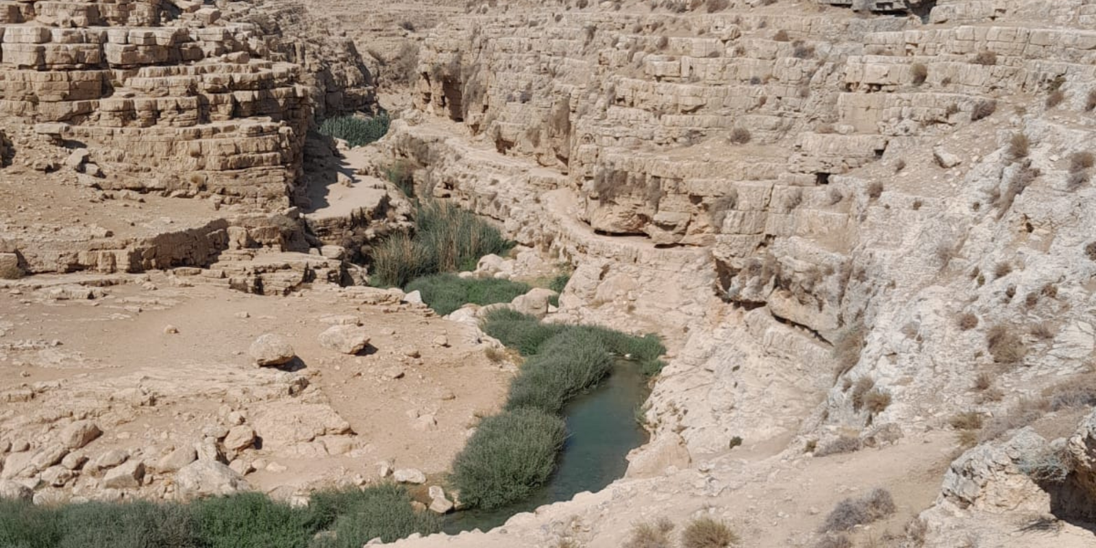 Wadi Qelt in the Judean Desert (photo courtesy of the author)