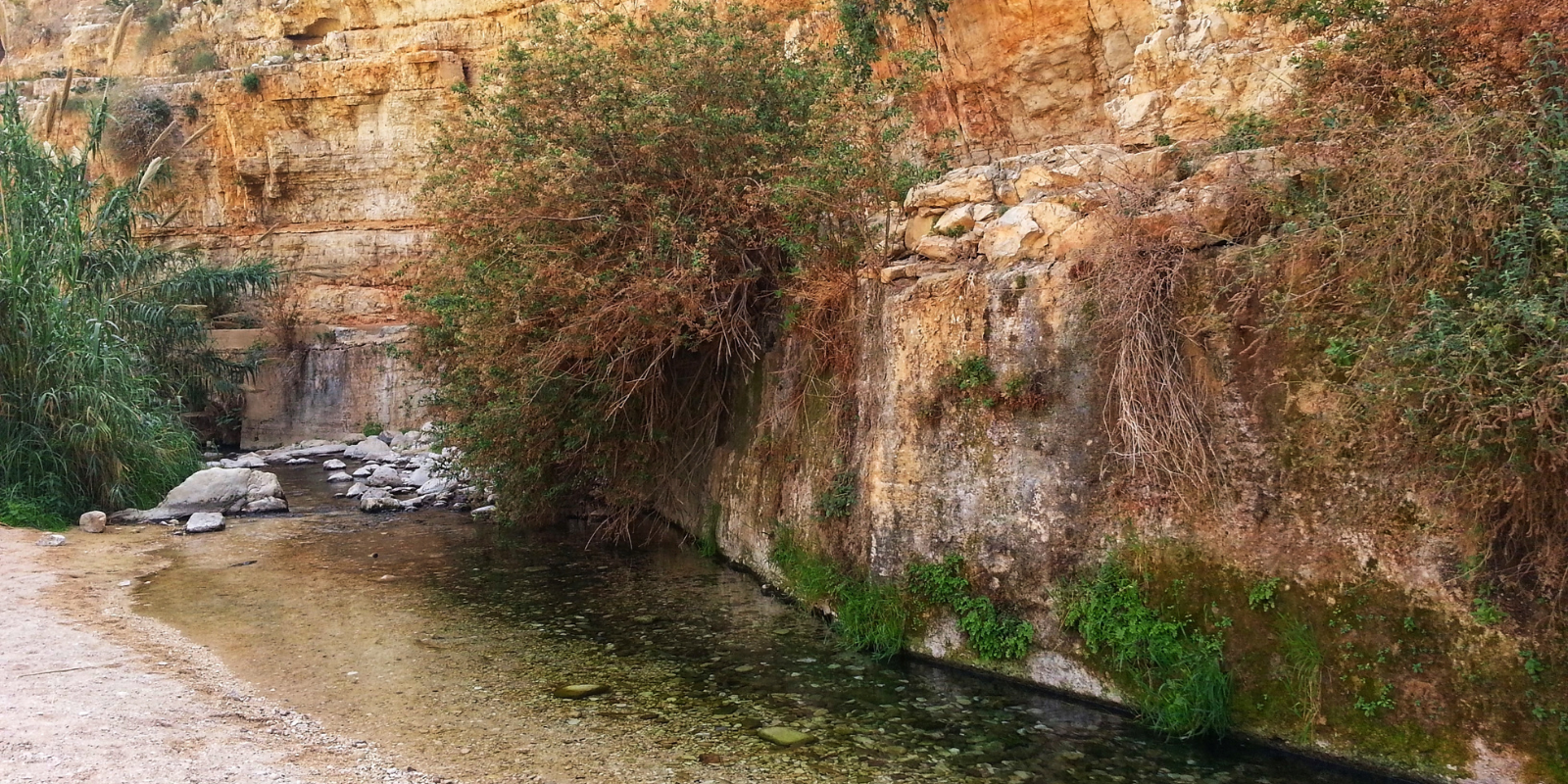 Nahal Prat in the Judean Desert, not far from my sons' school (Shutterstock.com)