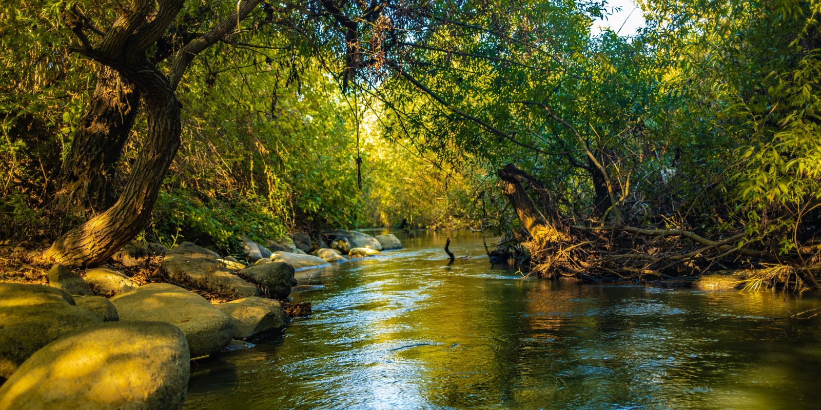 The Banias River in norther Israel (Shutterstock.com)