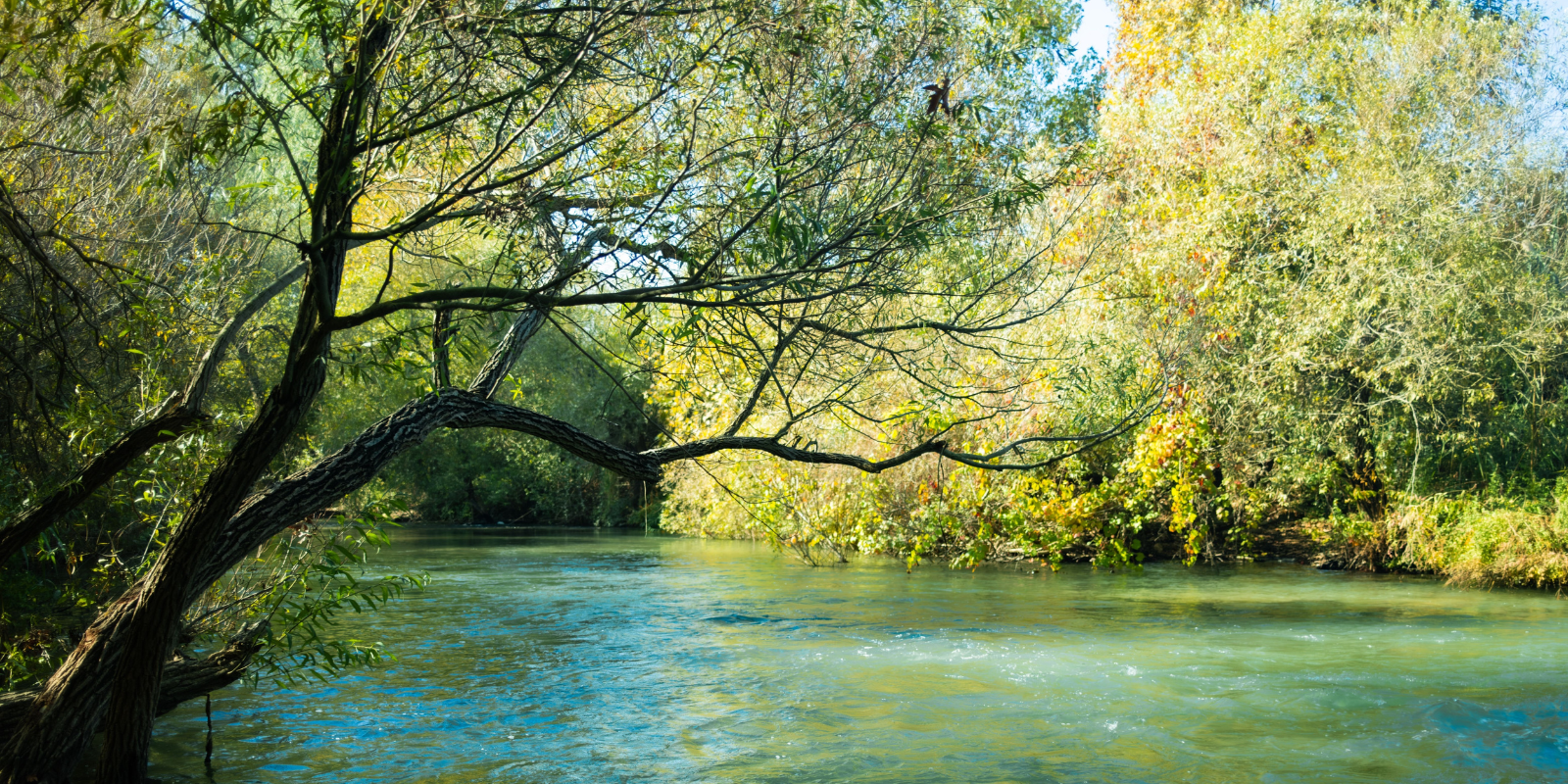 The Dan River in northern Israel (Shuttterstock.com)