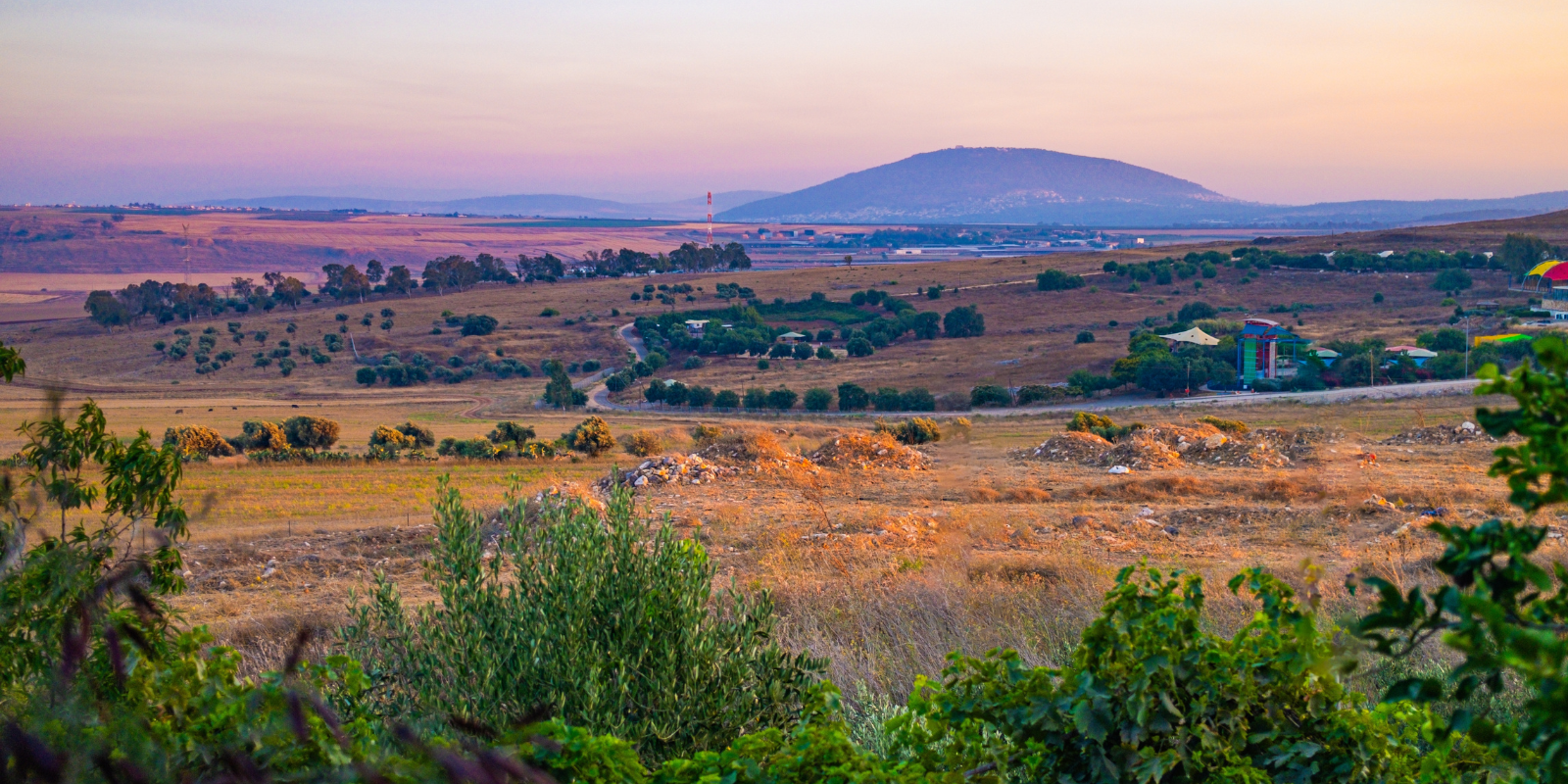 The rolling hills of the Lower Galilee (Shutterstock.com)