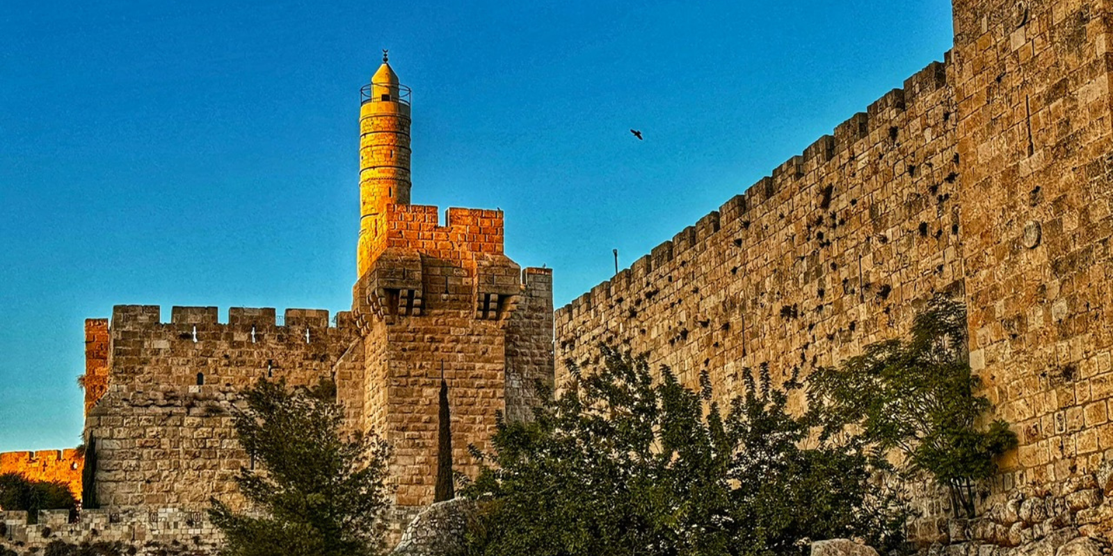 The Tower of David in Jerusalem (Dov Kram)
