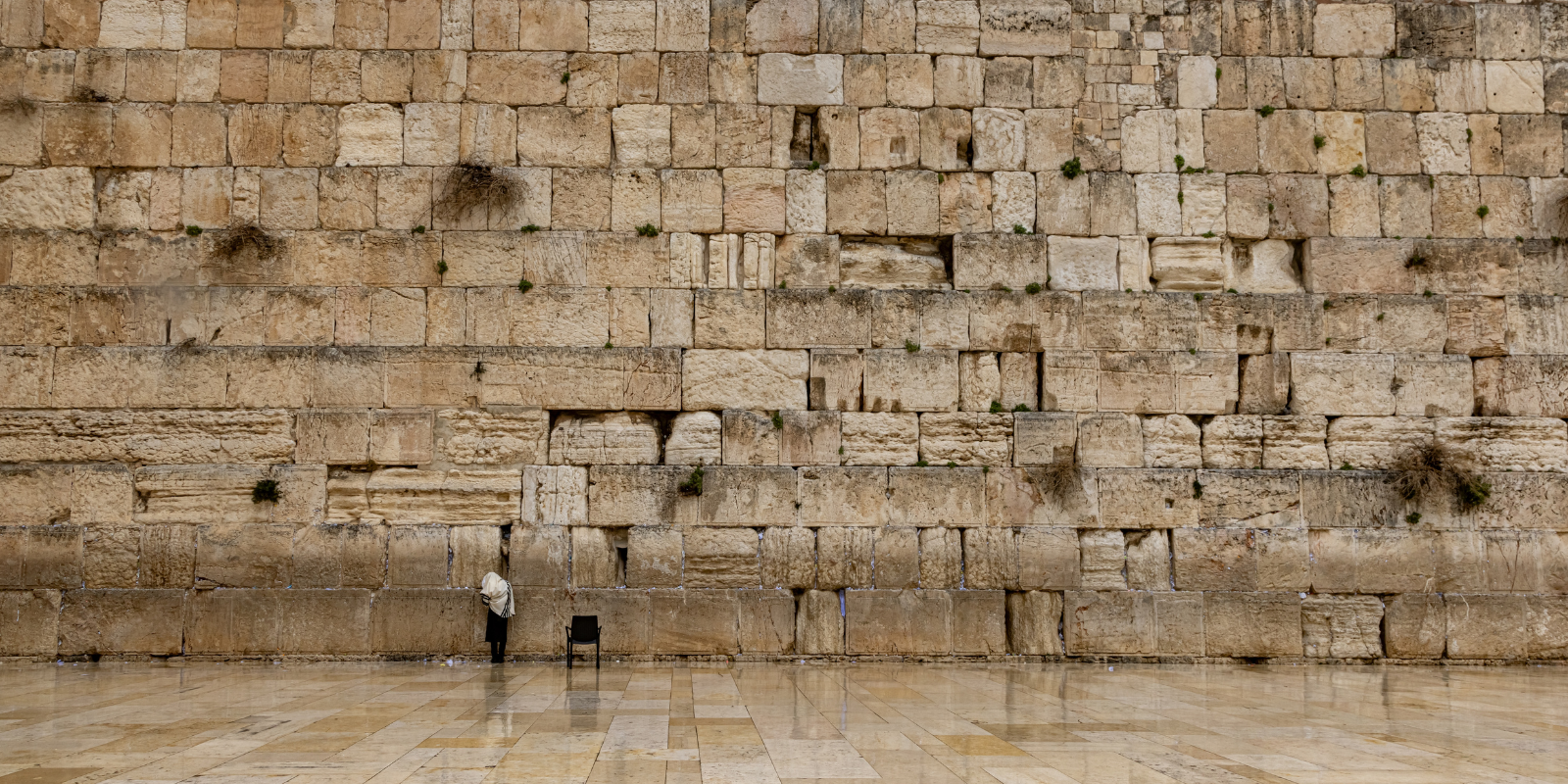 A man prays in the rain at the Western Wall (Shutterstock.com)