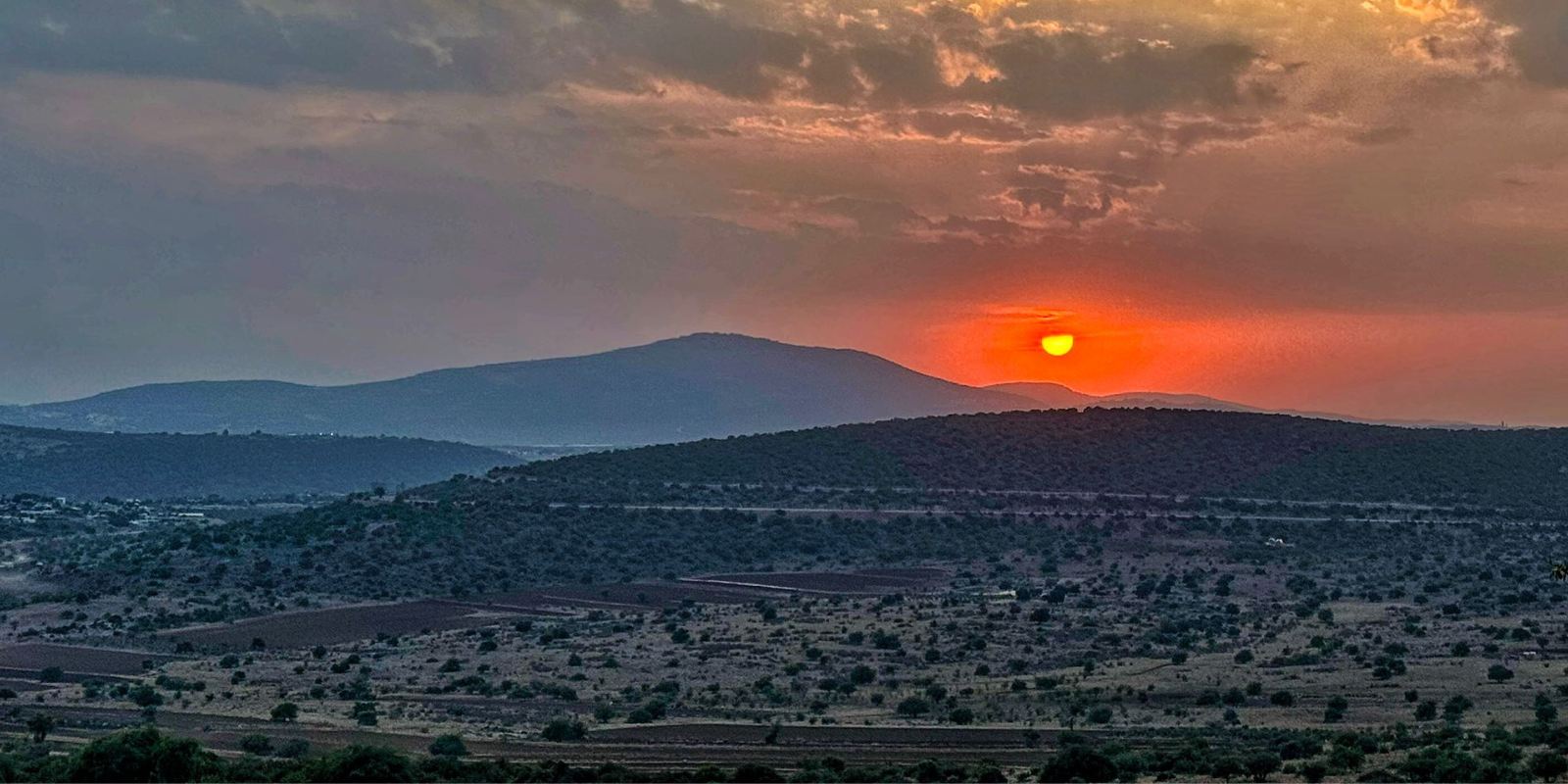 A view of the Upper Galillee (Dov Kram)