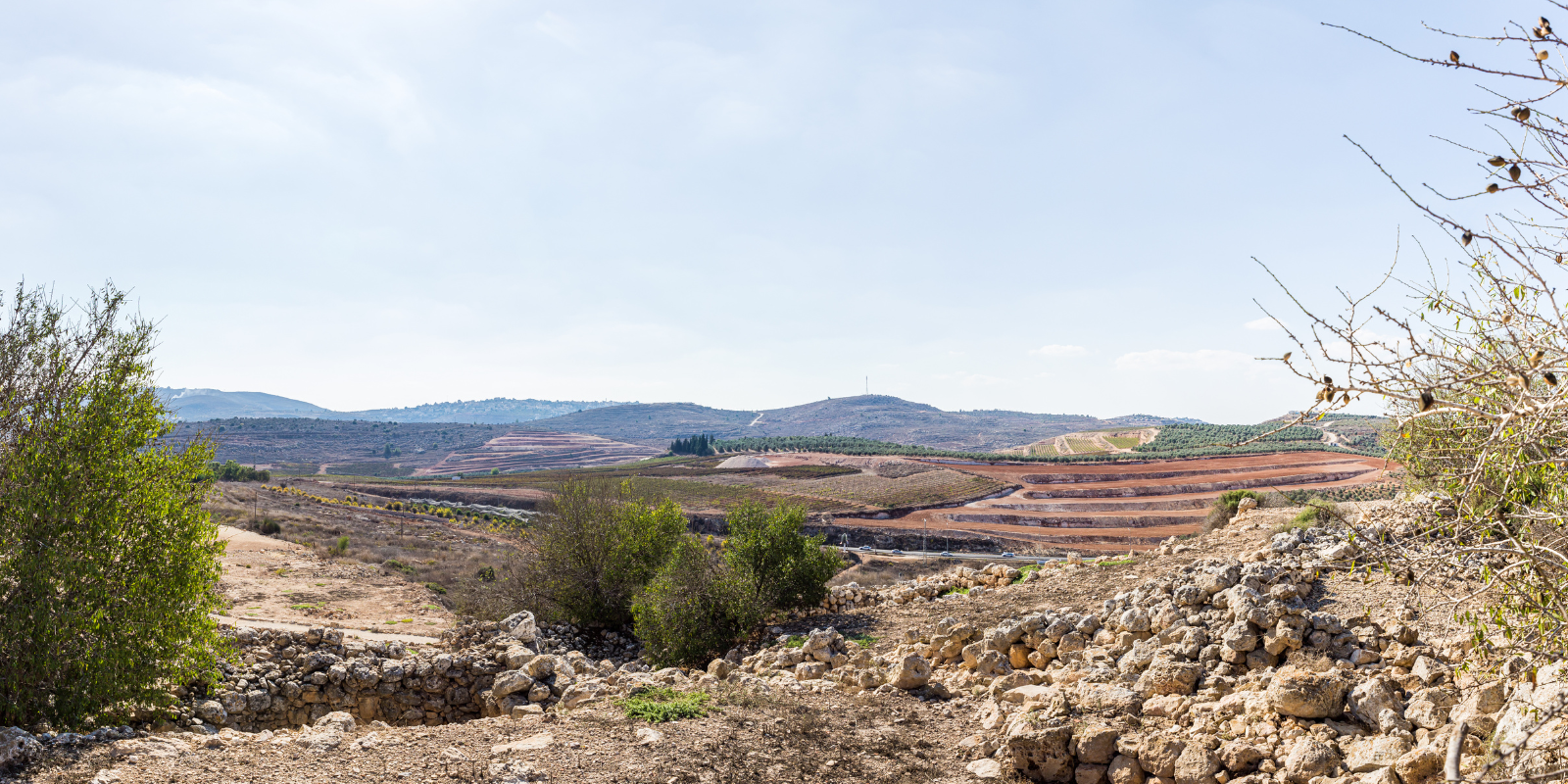 A shofar at the Western Wall (Shutterstock)