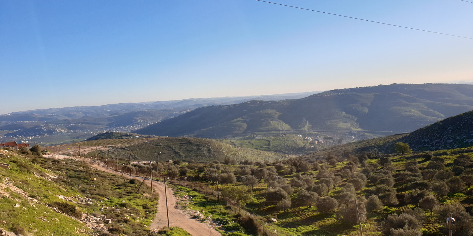 The hills of Shomron (Shutterstock.com)
