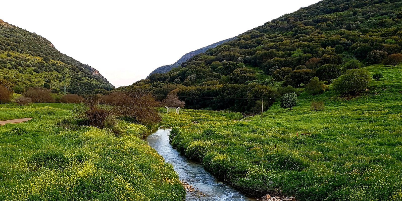 Lower Dishon Stream Reserve (Shutterstock)