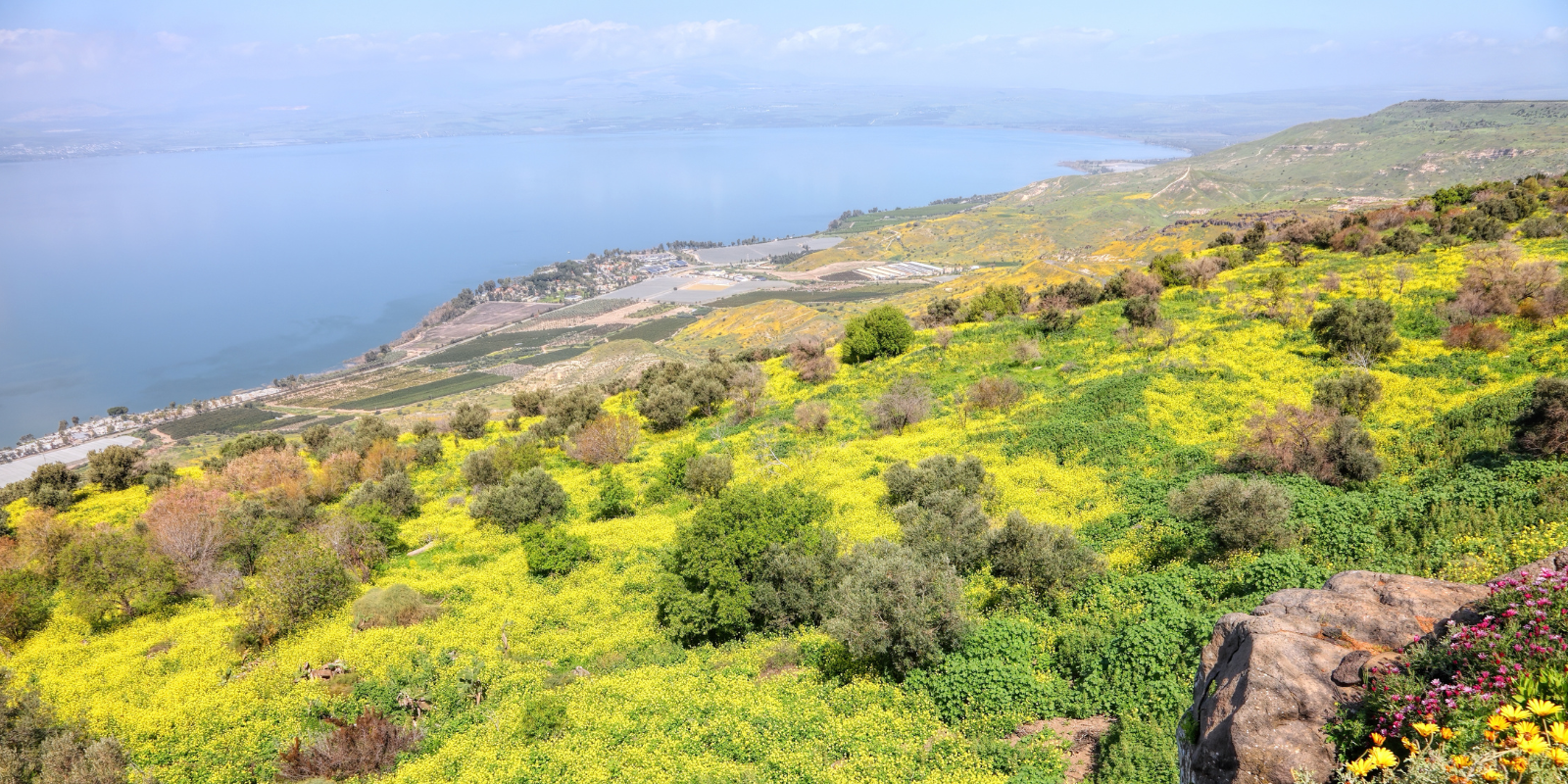 View of the Sea of Galilee from Kfar Haruv, Israel (Shutterstock)