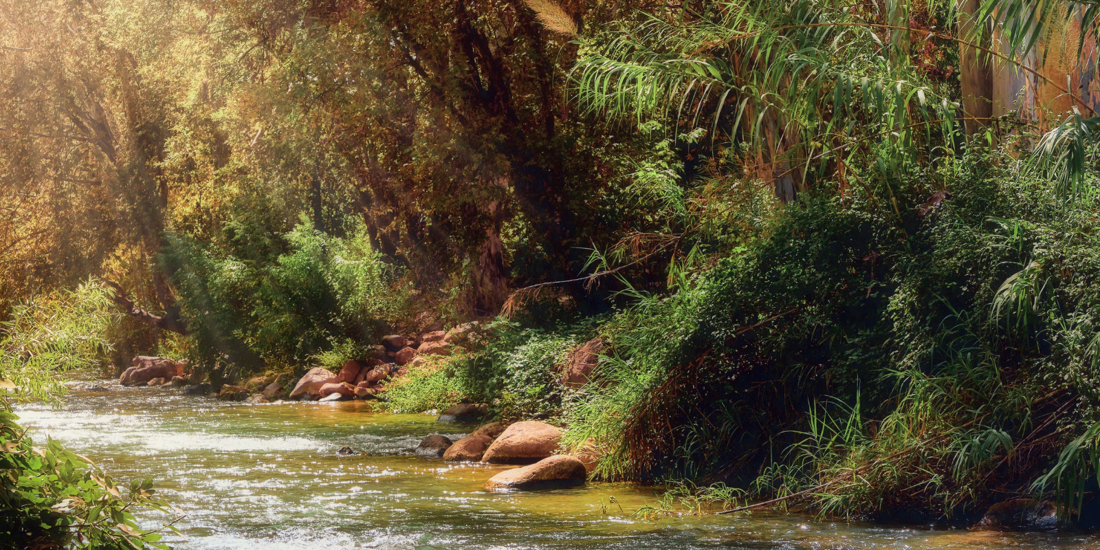 The Jordan River (Shutterstock.com)