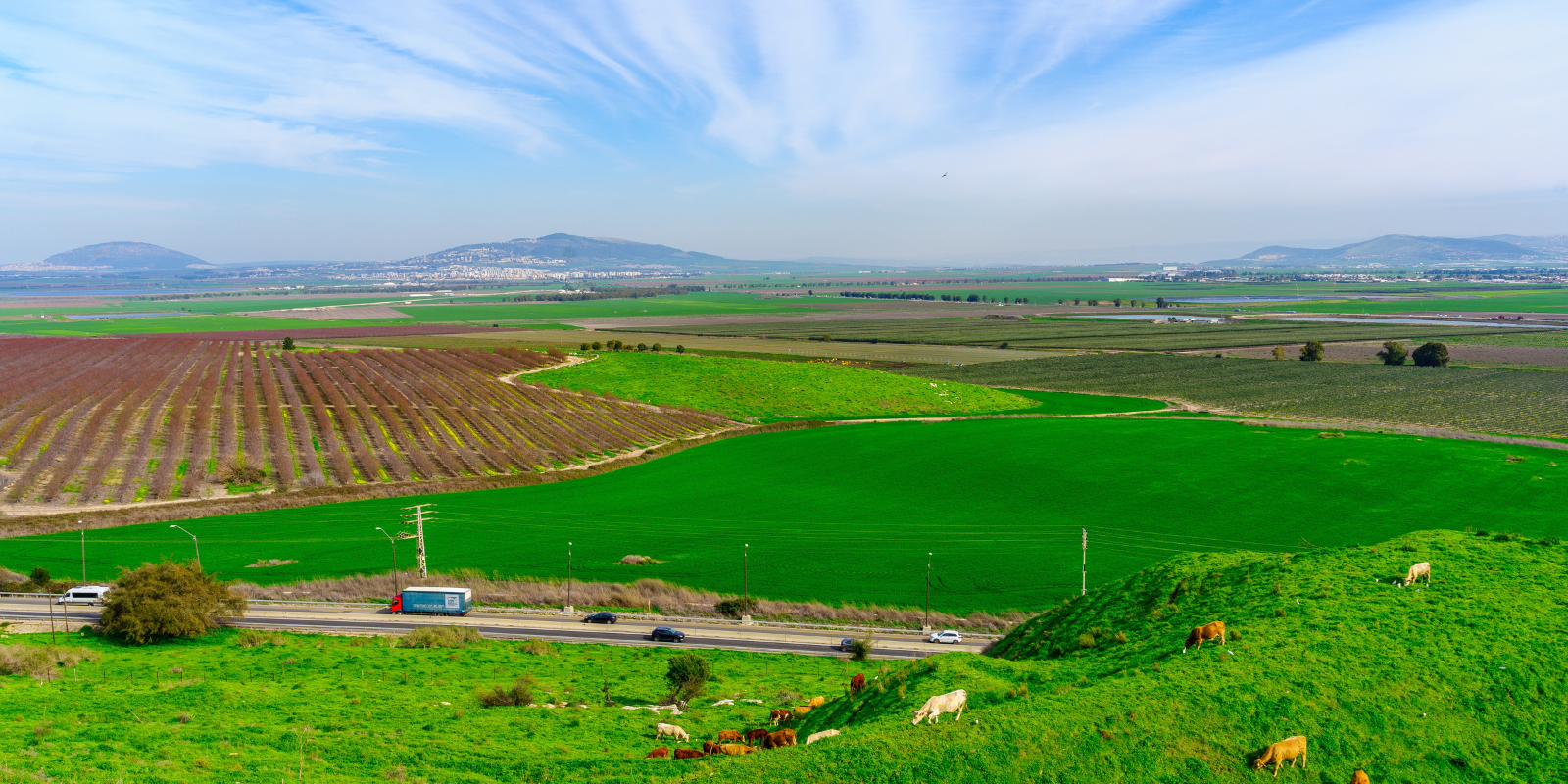 View of the Jezreel Valley (RnDmS, Shutterstock.com)