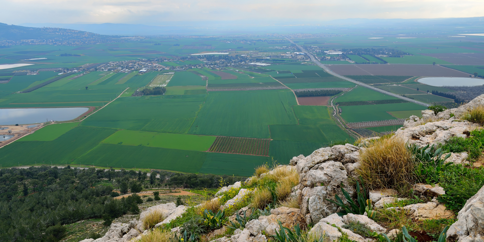 The lush Jezreel Valley (Wirestock Creators, Shutterstock.com)