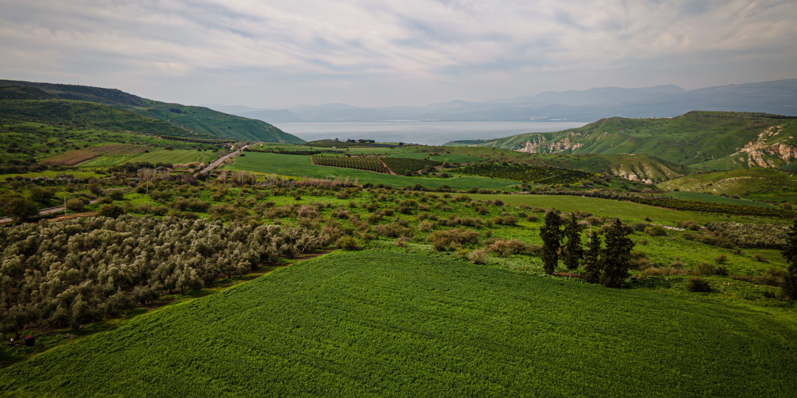 Rolling hills in northern Israel (Shutterstock.com)