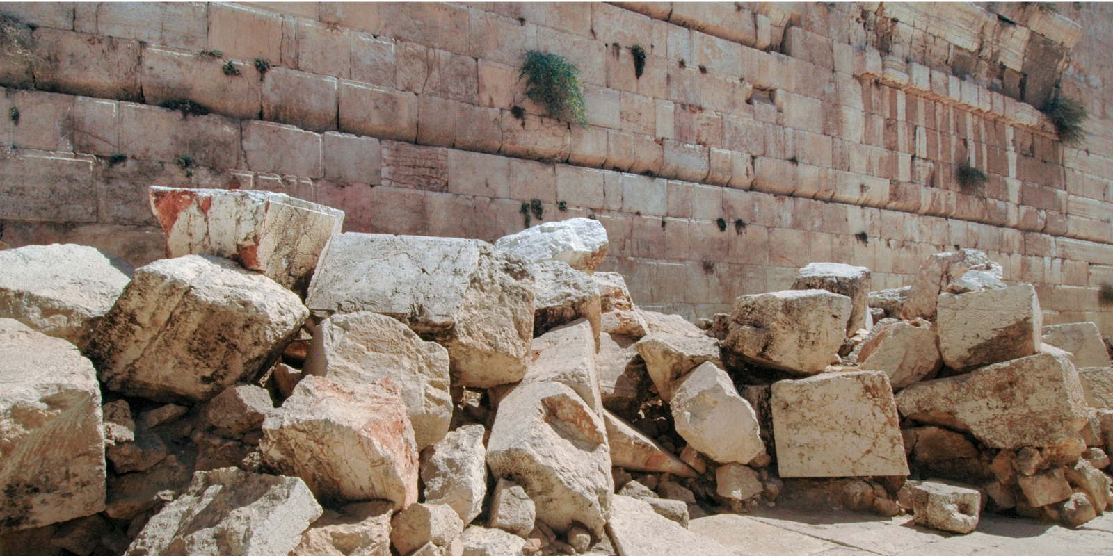 Large stones at the base of the Western Wall, ruins from the Second Temple (Yehoshua Halevi, Shutterstock.com)
