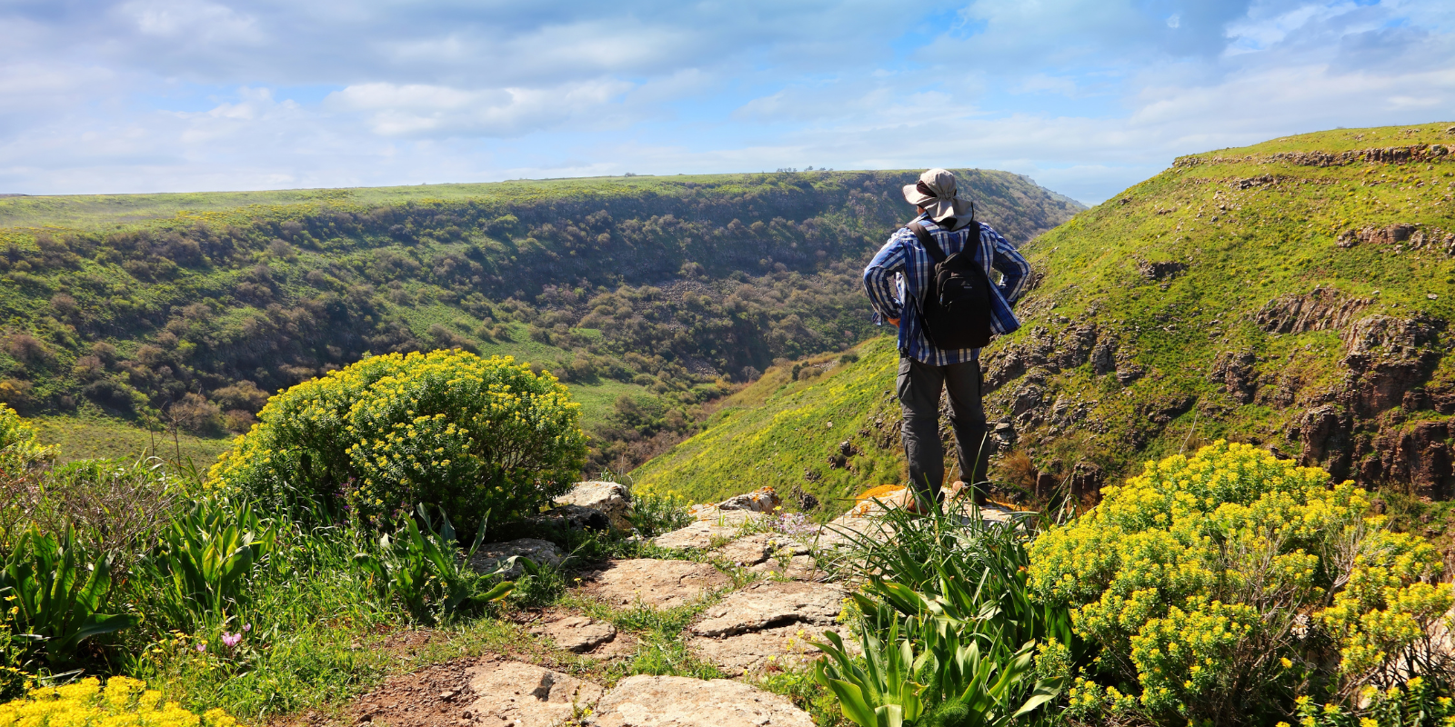 A traveler stops to look out at the land in the Golan Heights, Israel (Protasov AN, Shutterstock.com)