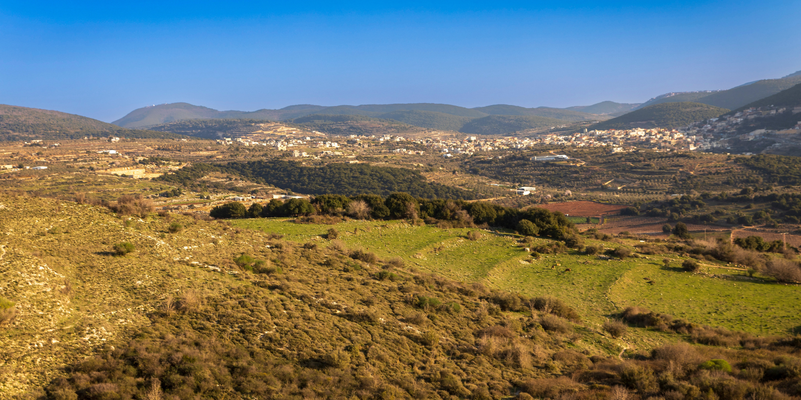 View from Mount Tabor in the Lower Galilee (Elena Rostunova , Shutterstock.com