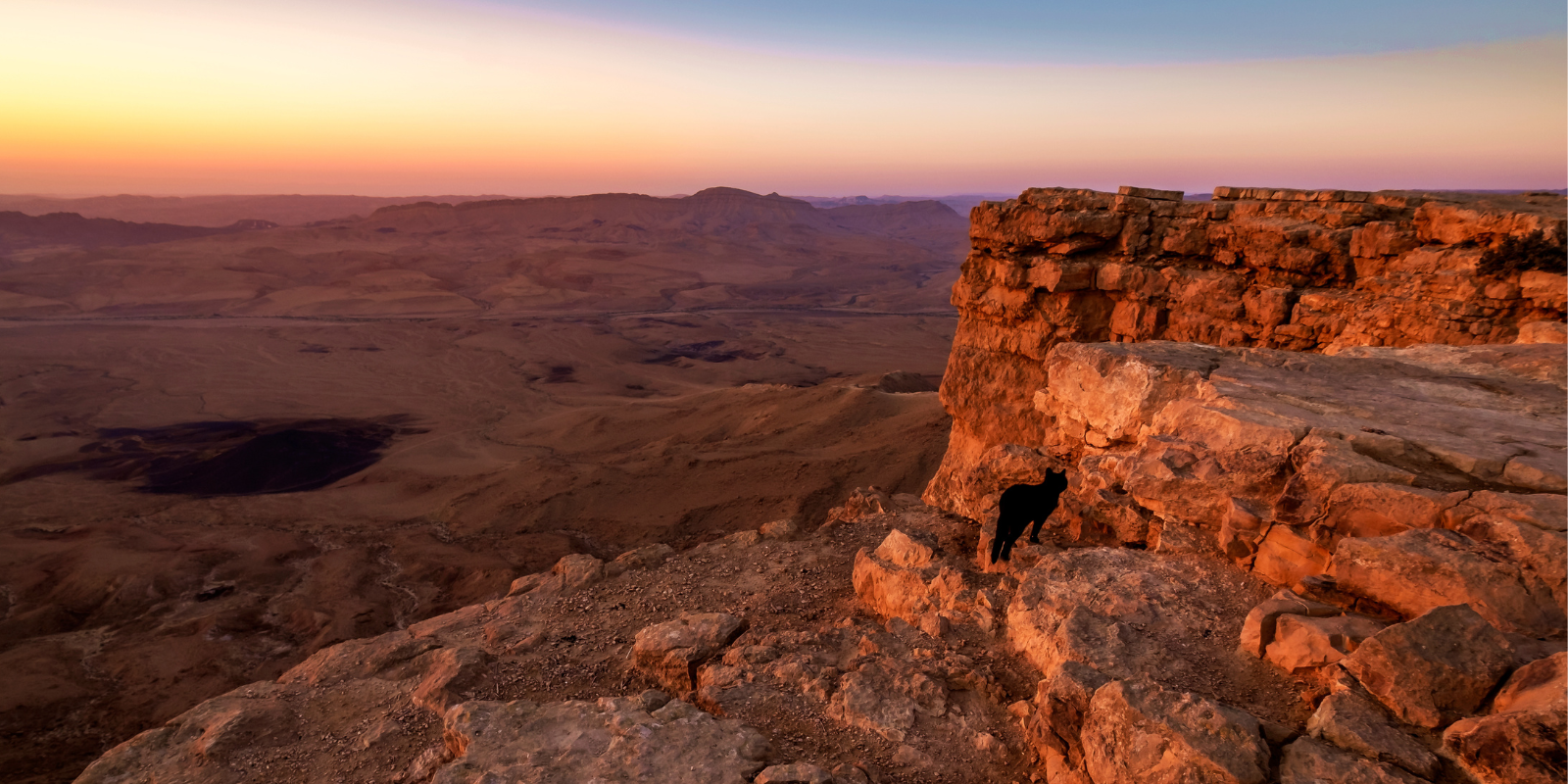 Sunrise at the Ramon Crater, Israel (oren seidner, Shutterstock.com)