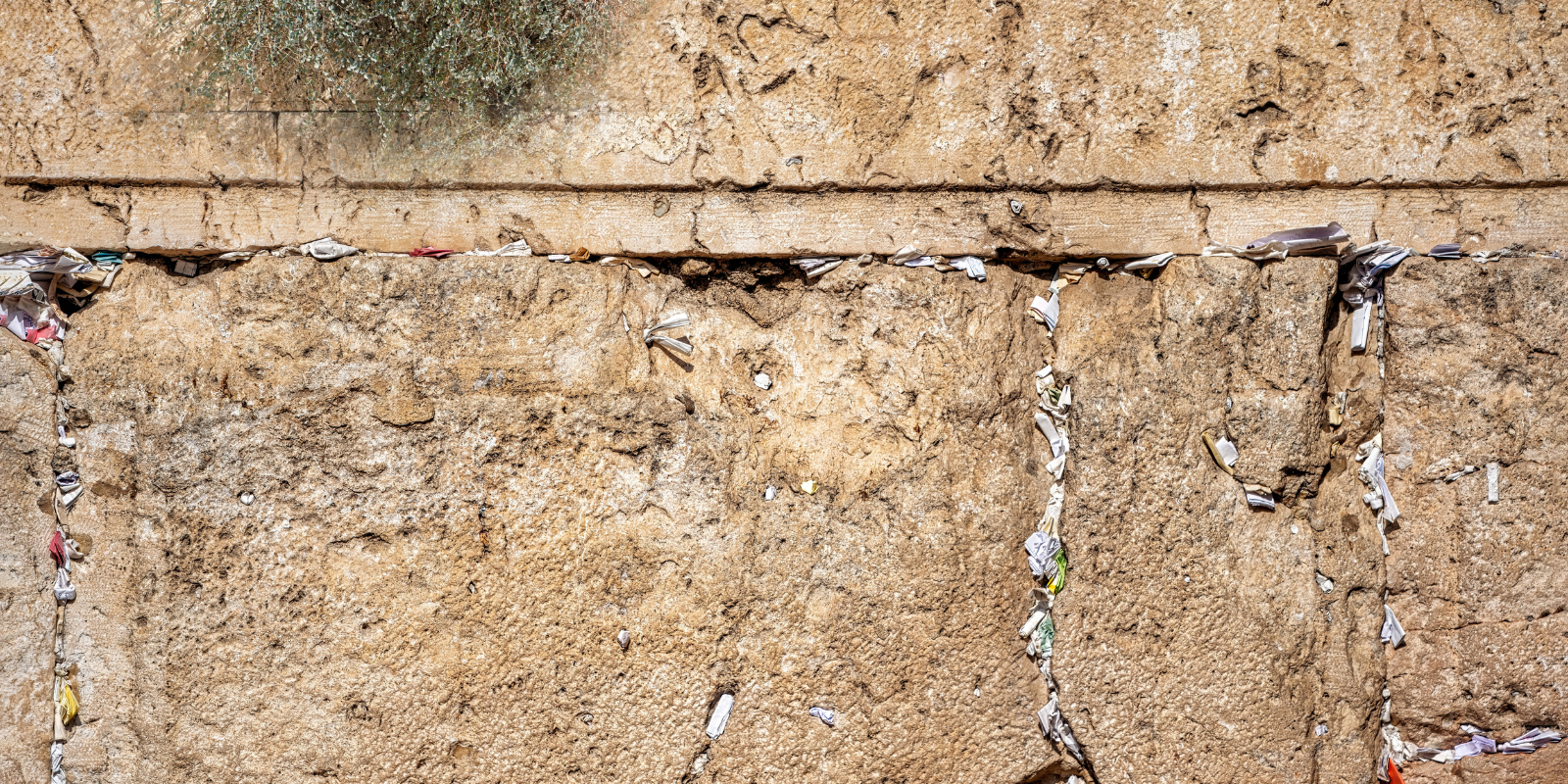 Prayer notes in the Western Wall in Jerusalem (Barbara Ash, Shutterstock.com)
