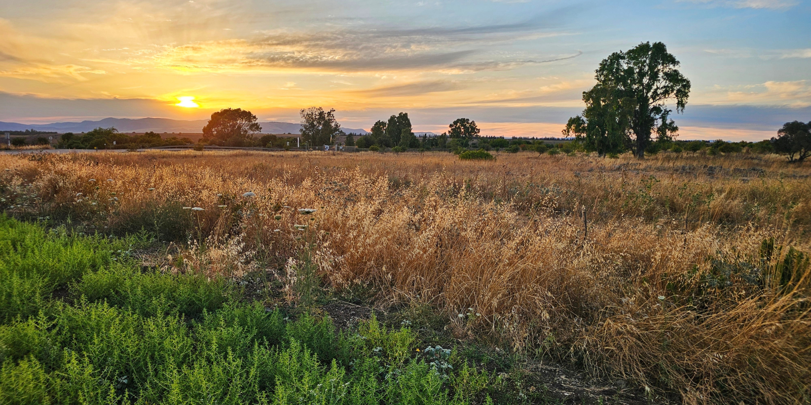 Golan Heights, Israel (Yair Aronshtam, Shutterstock.com)