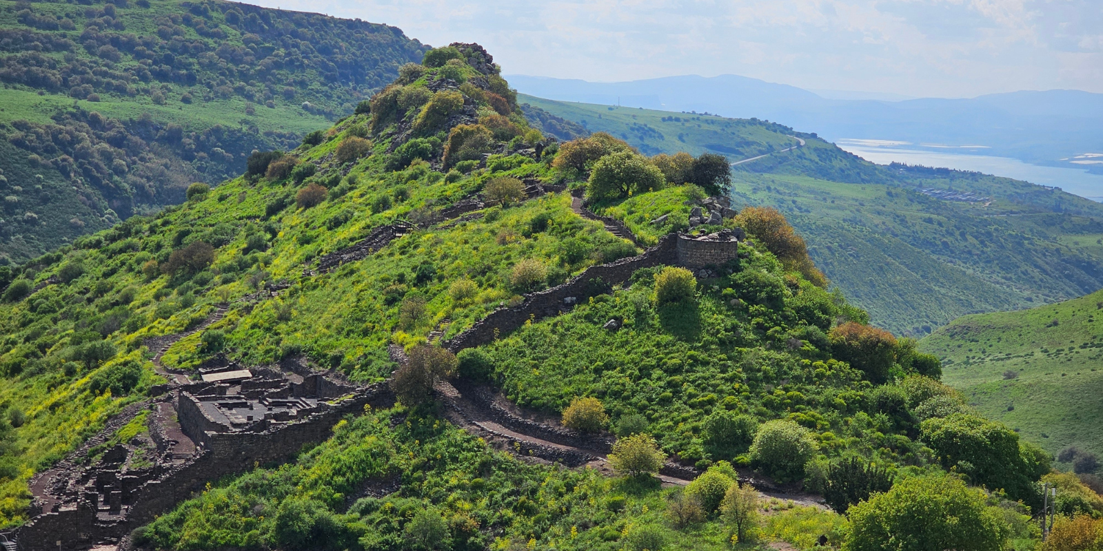 La acrópolis de Gamla, antigua ciudad judía situada en los Altos del Golán, Israel (Shutterstock/Yair Aronshtam)