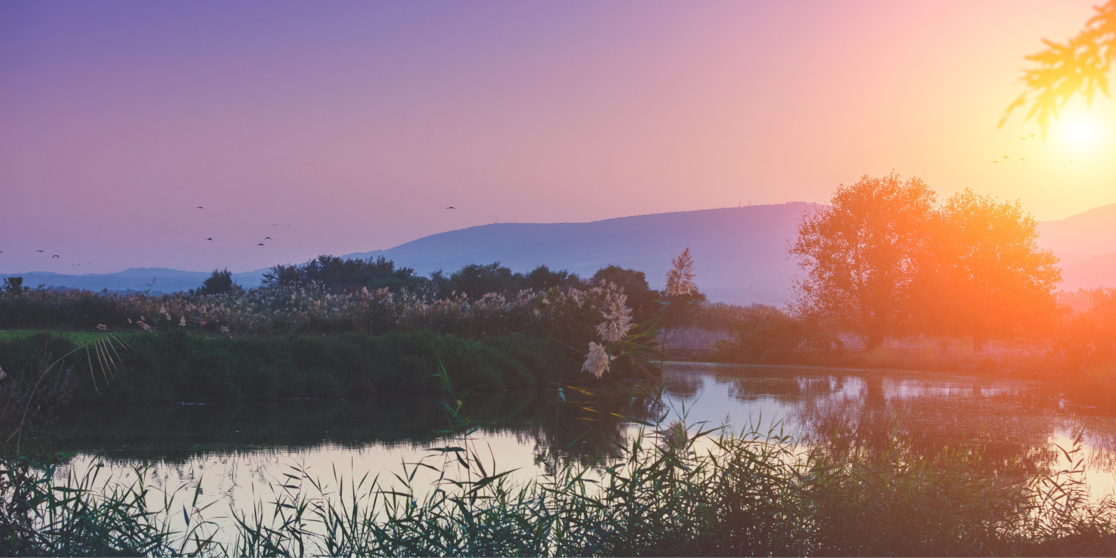 Evening at the Hula Valley in nothern Israel (vvvita, Shutterstock.com)