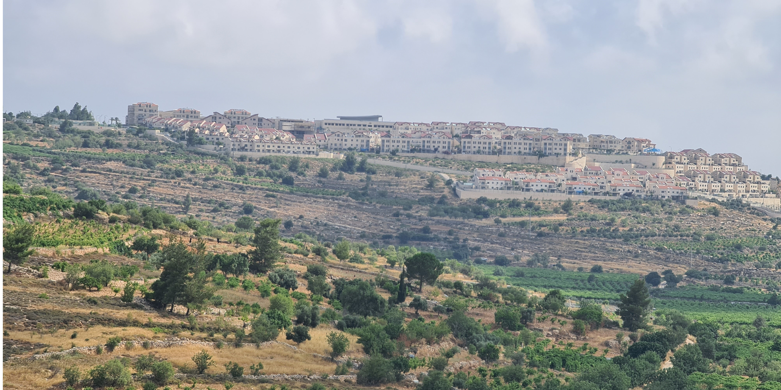 Efrat, Gush Etzion (Yair Aronshtam, Shutterstock.com)
